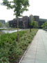 university of limerick - conference walk.jpg